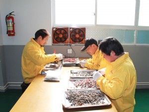 welding