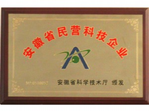 安徽省民營(yíng)科技企業(yè)