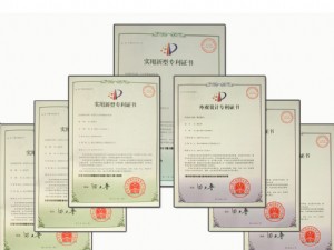 國(guó)家專(zhuān)利證書(shū)（13項(xiàng)）