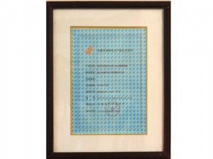 安徽省高新技術(shù)產(chǎn)品認(rèn)定證書(shū)