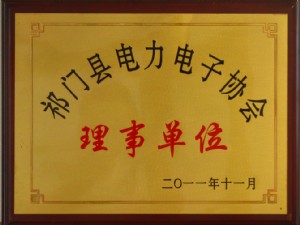 祁門縣電力電子協(xié)會理事單位