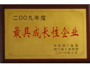 祁門縣2010年最具成長性企業(yè)