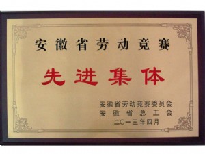 省勞動(dòng)競(jìng)賽先進(jìn)集體