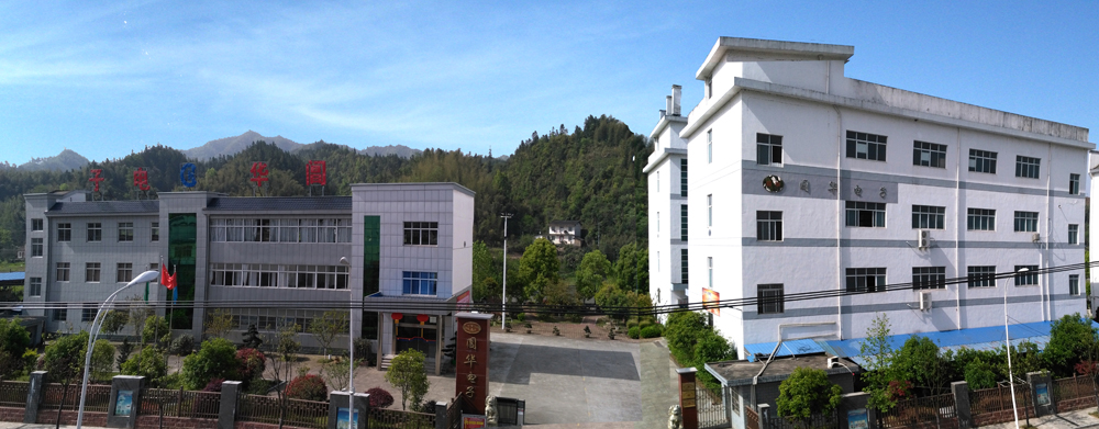 公司全景圖